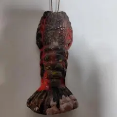 縁起物！ 特大剥製 伊勢海老 ゴシキエビ ニシキエビ - メルカリ