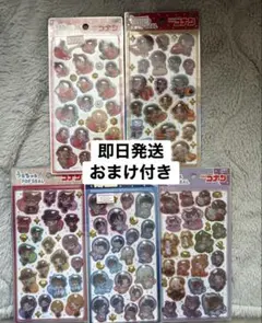 【正規品】名探偵コナン うるちゅるポップシール 5種セット(おまけ付き)