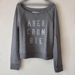 Abercrombie & Fitch トレーナー グレー