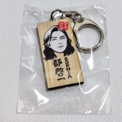 ごぶごぶフェス2026 かまぼこ板キーホルダー SOPHIA 松岡充 - メルカリ