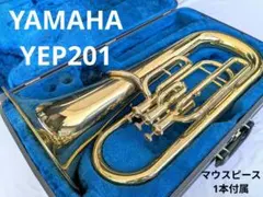 2026年最新】ユーフォニアム ハードケースの人気アイテム - メルカリ