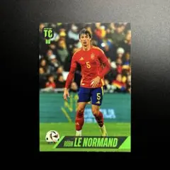 サッカーカード リサンドロマルティネス マンチェスターユナイテッド