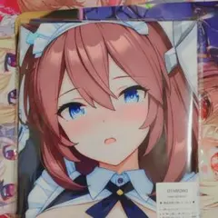 因幡めぐる B2タペストリー サノバウィッチ C91 - メルカリ