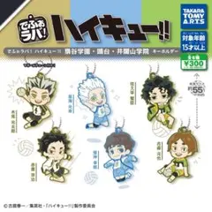 ハイキュー!! ガチャキーホルダー