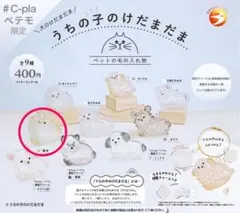 うちの子のけだまだま　ガチャガチャ　柴犬　2匹