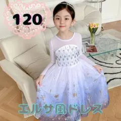 120cm キッズ　ハロウィン　エルサ　アナ雪　コスプレ　ディズニー　プリンセス