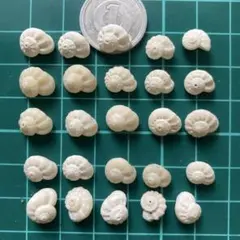 Item thumbnail for item 54404e24-cc5a-4fbb-926b-014fcd01ee9a