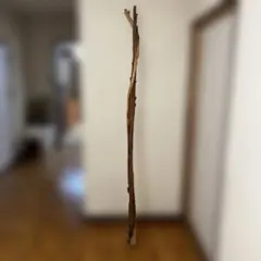 賢者の杖　魔法の杖 仙人の杖 天然木 賢者の杖 魔法の杖 仙人の杖 天然木 - メルカリ