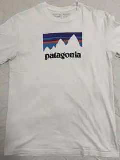 patagonia ホワイト Tシャツ Mサイズ