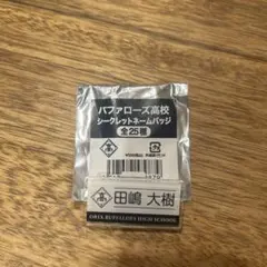 田嶋大樹 オリックス ネームバッジ
