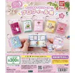 サンリオキャラクターズ　ミニプロフィール帳