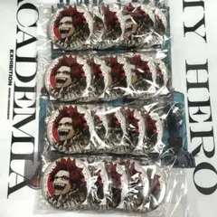 僕のヒーローアカデミア 切島鋭児郎 ジャンプGIGA 缶バッジ キャラカ 新十傑