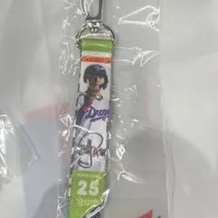 中日ドラゴンズ ミニボンフィン 石川昂弥