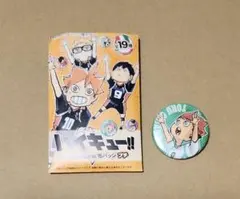 ハイキュー!!　コレクション 缶バッジ プチ　及川徹