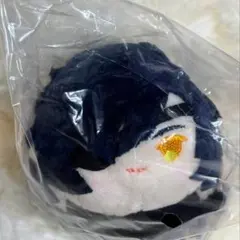 Item thumbnail for item ca75b36b-3e3f-43af-80a1-74b66670c836