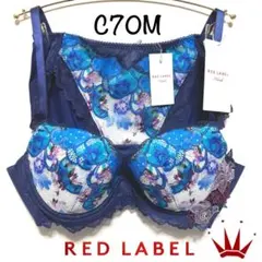 ＊C70M トリンプ プレミアム レッドレーベル0120 ブラ＆ショーツ