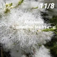 Ren様 リクエスト 2点 まとめ商品