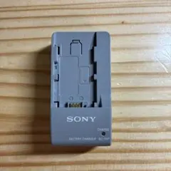 2026年最新】NP-FV100Aの人気アイテム - メルカリ