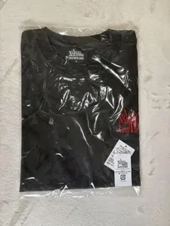 激レア・完売品】中森明菜 ライブツアーグッズ FC限定Tシャツ Mサイズ