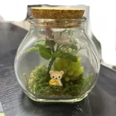 テラリウム　コリラックマ　置き物
