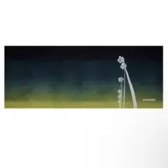 Item thumbnail for item 16c1d334-3af9-45b8-97fa-744184df33b4