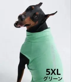 【びーたろう様専用】SPARK PAWS 5XL グリーンのサムネイル