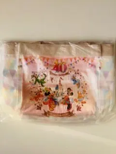신품 미개봉 TDLディズニーランド４０周年スーベニアランチケース