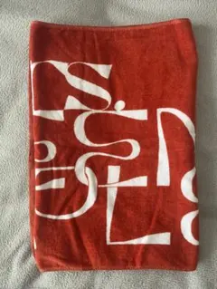 Mrs. GREEN APPLE AUTUMN GOODS 2023 タオル