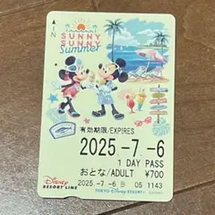 ディズニー リゾートライン フリーきっぷ コレクション用
