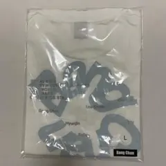 StrayKids RUNIT JAPAN バンチャンTシャツ Lサイズ