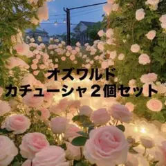 ディズニー カチューシャ オズワルド 2個セット