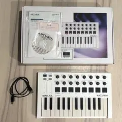 Item thumbnail for item 1bc31f39-671b-4ad2-ae48-72eb580c4f58