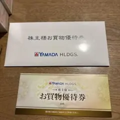 YAMADA HLDGS. お買物優待券 500円券 10枚セット