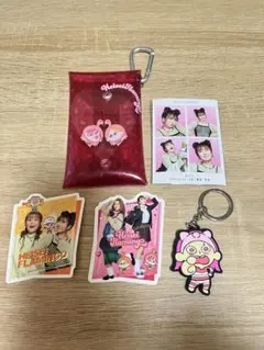 【12/15まで値下げ‼️】平成フラミンゴ 平フラ にこ キーホルダー まとめ売り