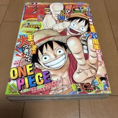週刊少年ジャンプ 2008年44号 ONE PIECE巻頭カラー - メルカリ