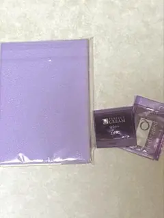 Item thumbnail for item 23218ce0-d6e5-40b9-978d-58a3e2e7c482