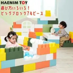 HAENIM TOY マカロンビッグブロック 74PCS 大きいブロック