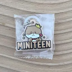 SEVENTEEN セブチ MINITEEN ミニティーン めじるしアクセサリー