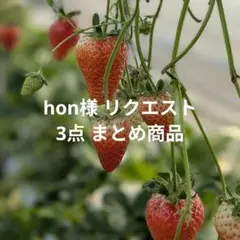 hon様 リクエスト 3点 まとめ商品