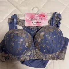 【新品未使用】Elegante ブラジャーショーツセット D75