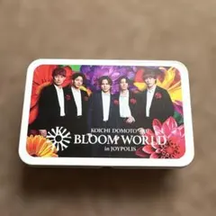 KOICHI DOMOTO x 4U. BLOOM WORLD 缶ケース