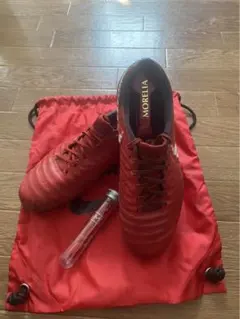 NIKE ティエンポレジェンド7日本未発売 モデル27cm 値下げ⭕️ NIKE ティエンポレジェンド7日本未発売 モデル27cm 値下げ⭕️ 2025年