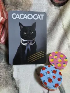 CACAOCATなど 可愛い空き缶 3点セット