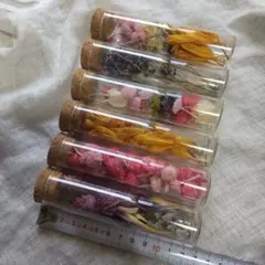 Item thumbnail for item 3116634d-816b-40a8-98c3-68951cf1d827