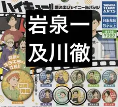 ハイキュー!!思い出シャイニー缶バッジセット