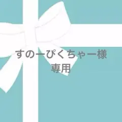 ★すのーぴくちゃー様専用ページ★