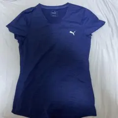 Item thumbnail for item f5484843-4503-4066-a4a1-5705af6676b7