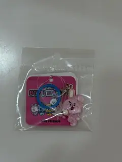 BT21 ミニチャーム めじるしアクセサリー COOKY