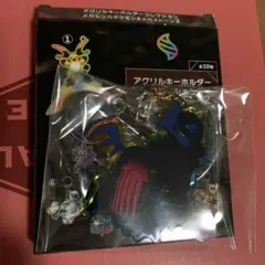 ポケモン アクリルキーホルダーコレクション メガシンカ＆メガストーン2