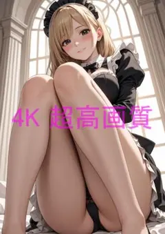月屋 1点物 高画質 A4 ポスター アニメ イラスト メイド #0236